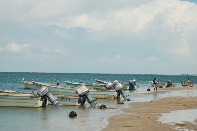 Boats on the shoreline.