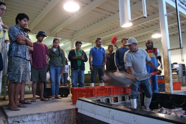 Latin American Fisheries Fellowship Fellows watch fishermen at port.